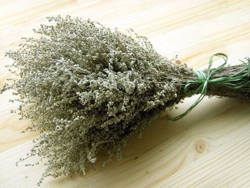 Wormwood is a plant known for worms and parasites. 