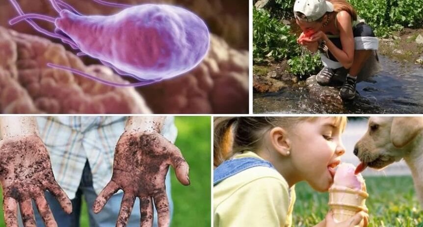 The sources of infection