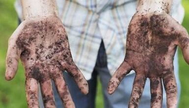 Causes of worms in people